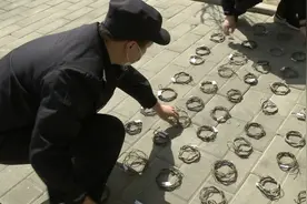 还打算吃野味？北京一男子进山下套猎捕斑羚 森林公安：刑拘！视频封面