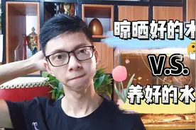 晒过的自来水能养观赏鱼吗？不少鱼友有个误区：以为晒水就是养水视频封面