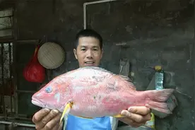 清蒸一条冰冻的“赤鸡鱼”，小池家里的伙食还不错，一家人吃开心视频封面