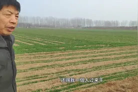 农民三个儿子针尖对麦芒，儿子结婚成难题，一个人下地干活，咋办视频封面