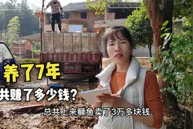承包10亩的大鱼塘有钱赚吗？养了7年赚了多少？听完真的好心酸视频封面