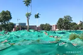 天津市内六区棚户区拆迁视频封面