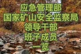 应急管理部国家矿山安全监察局领导干部班子成员一览视频封面