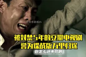 被封禁5年的豆瓣电视剧 誉为谍战版万里归途视频封面