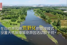 夜访游人禁入的温榆河神秘自然带