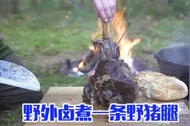 在野外卤煮一条野猪腿，比十三香都香视频封面
