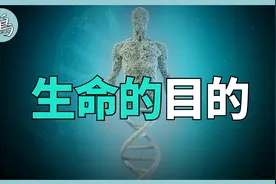 DNA本质是储存器，人类是行走的U盘，我们只是宇宙的工具视频封面