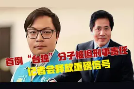 首例“台独”分子被追刑事责任，记者会释放重磅信号视频封面