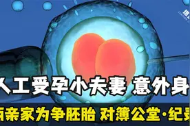 人工受孕小夫妻意外身亡，两亲家却为争夺胚胎，对簿公堂--纪录片视频封面