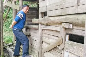 湖北恩施小伙家小猪生病，请兽医过来看病，打6针花150元视频封面