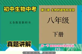 初中生物中考真题解析之八年级下册“基因控制生物的性状”（2）视频封面