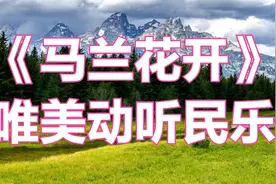 《马兰花开》经典民乐，优美的旋律，唯美动听的纯音乐。视频封面
