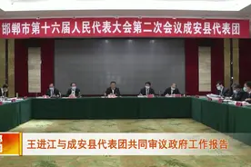 王进江与成安县代表团共同审议政府工作报告视频封面
