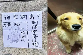 小区有人丢狗，保安画的寻狗启事过于形象，网友：不当画家可惜了视频封面