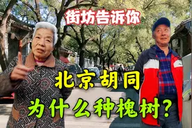 北京胡同种槐树啥寓意？听老街坊解释才明白，这儿不是一般人住的视频封面