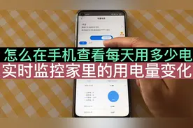 怎么在手机上查看每天的用电量明细，实时监控，每天到底用多少度