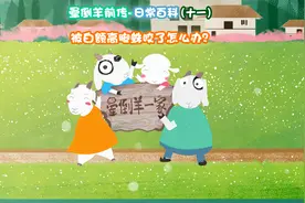 被蜘蛛咬伤怎么办？视频封面