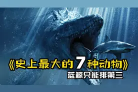 史上最大的7种动物！蓝鲸只能排第三！视频封面