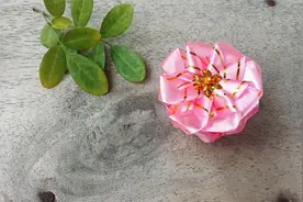 看看如何把彩带编成花朵，步骤详细，简单易学！视频封面