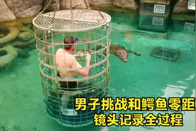 男子挑战和鳄鱼零距离接触，镜头记录全过程，看着都让人害怕视频封面