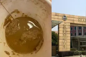 上海外国语大学一女生图书馆自习，杯中被男生投放异物，校方回应视频封面