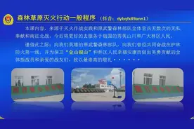 森林消防员培训教程二：森林草原灭火行动一般程序及灭火战法.mp4视频封面