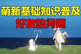 【萌新基础篇】光遇里面好友的各种问题视频封面