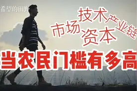 探访“中国菜篮子”山东寿光，建造一个蔬菜大棚竟然要花费40多万视频封面