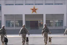 军犬的考试有多难？视频了解↓