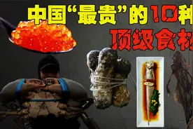中国十大顶级食材：一颗荔枝高达55.5万元，有的花钱也未必吃得上视频封面