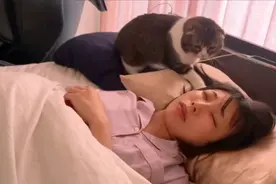 当我早上熟睡时，小猫咪来喊我起床