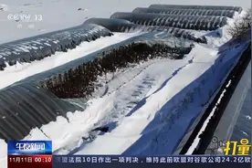 最大雪深1.5米！强风雪袭击，内蒙古多地农业大棚被积雪压塌视频封面