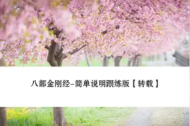 八部金刚经-简单说明跟练版【转载】视频封面