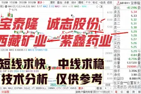 宝泰隆 紫鑫药业 西藏矿业 诚志股份 谁更有潜力？短线中线怎么看视频封面