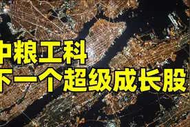 下一个超级成长股？中粮工科，全球粮库和冷链物流仓储龙头！视频封面