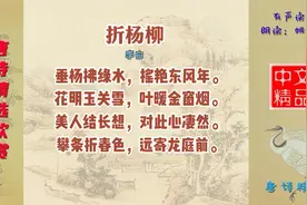 折杨柳 唐 李白 抒写女子在春光明媚的日子里触景生情，思念丈夫视频封面