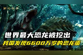 在我国发现6600万岁的恐龙蛋，世界最大最奇葩的恐龙化石被挖出！视频封面