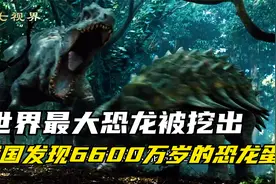 在我国发现6600万岁的恐龙蛋，世界最大最奇葩的恐龙化石被挖出！视频封面