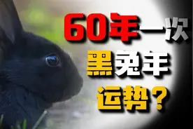 2023癸卯年是水兔年也叫黑兔年，60年轮回一次有什么特别之处吗？视频封面