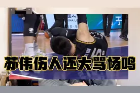 5遍重放终于听清了！苏伟发飙12字怒骂杨鸣，连杜锋都看不下去了视频封面