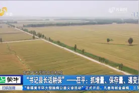 抓增量、保存量、遏变量！看茌平如何走出一条全方位耕地保护之路视频封面