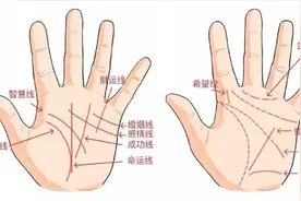 想知道自己适合什么职业？真是太准了！赶紧看看自己的手视频封面