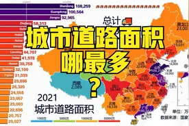 城市道路面积哪最多？@DOU+小助手视频封面