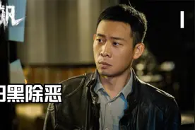 《狂飙》全集视频封面