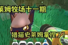 【问心解说】史莱姆牧场第十一期，终于抓到了猎猫史莱姆呀！