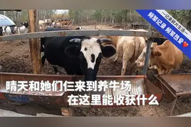 姐仨开皮卡出行，来到京郊养牛场，皮卡装满货，全是好东西视频封面