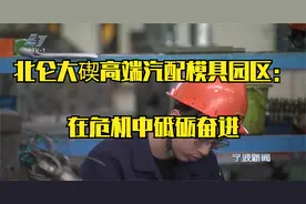 北仑大碶高端汽配模具园区：在危机中砥砺奋进视频封面