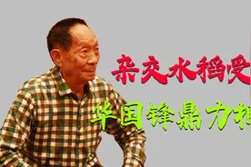 1970年，袁隆平研究杂交水稻受阻，关键时刻，华国锋鼎力相助视频封面