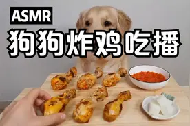【Cat&Dog】自制炸鸡给狗狗吃~视频封面