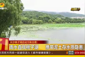 长沙桃子湖启动污染治理，截断污染源头，摆脱黑臭水体视频封面